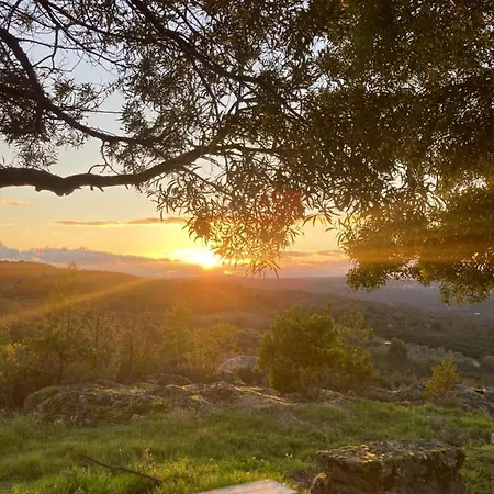 Gospodarstwo agroturystyczne Relax Container Aguiar da Beira