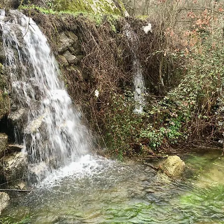 Relax Container Gospodarstwo agroturystyczne