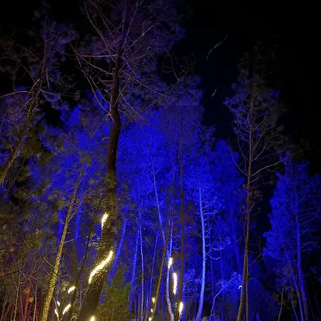 Relax Container Gospodarstwo agroturystyczne Aguiar da Beira