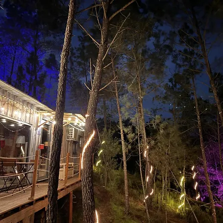 Gospodarstwo agroturystyczne Relax Container *